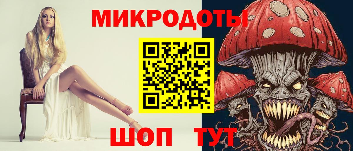Псилоцибиновые грибы Psilocybine cubensis Ленинск-Кузнецкий
